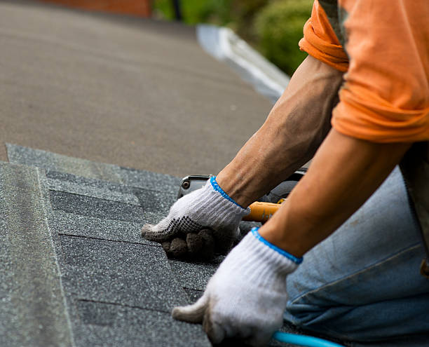 Best Roof Gutter Cleaning  in Waianae, HI
